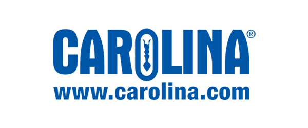 Carolina